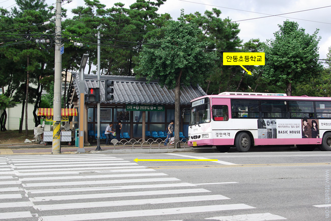 봉정사, 안동 초등 학교