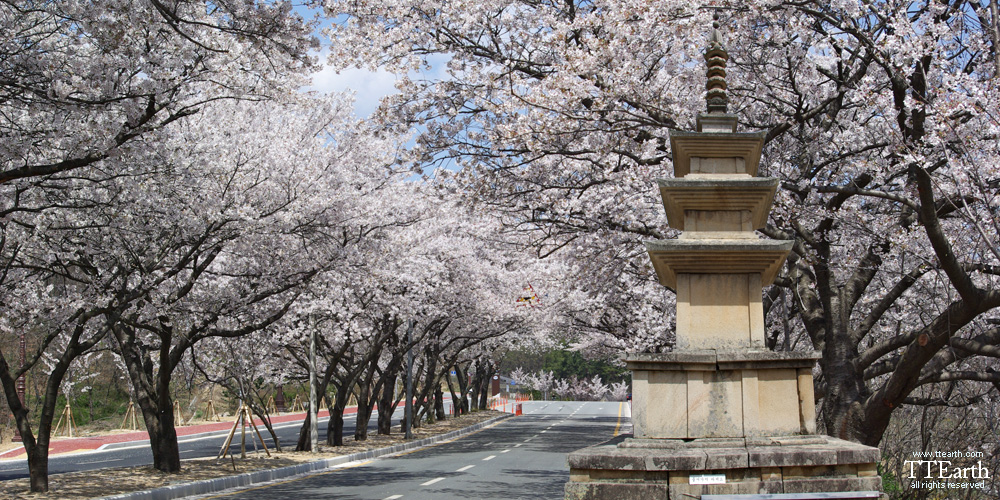 경주