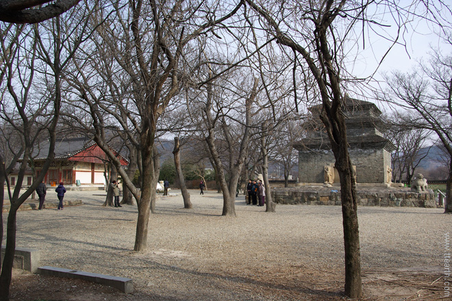 경주 분황사