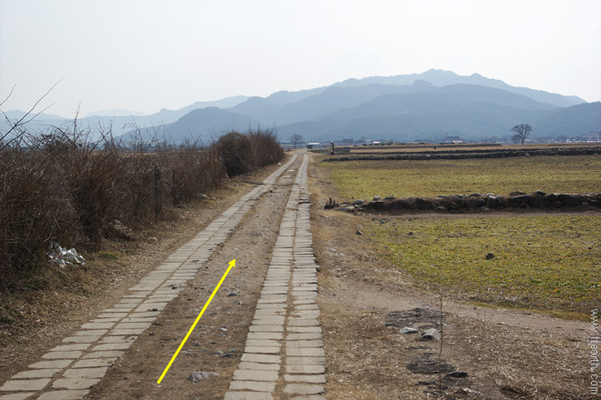 경주 분황사, 황룡사 터