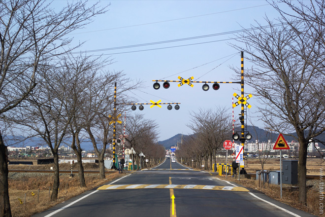 경주 황룡사 터