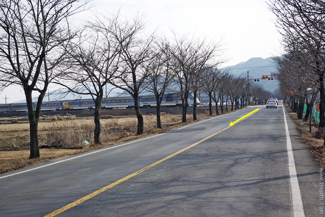 경주 황룡사 터