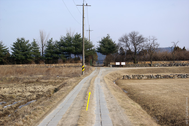 경주 황룡사 터