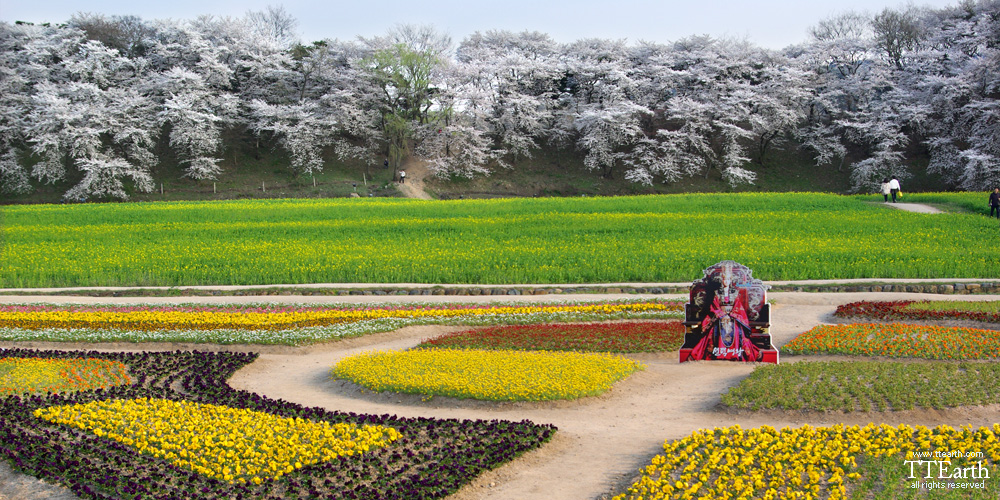 경주 월성, 반월성