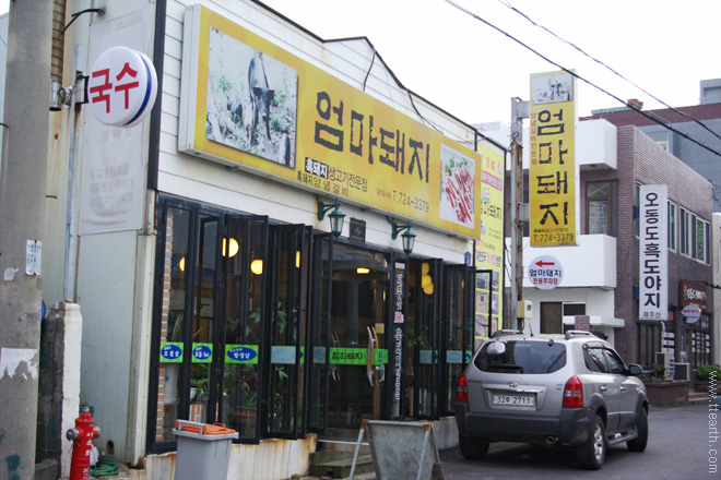 제주 엄마 돼지