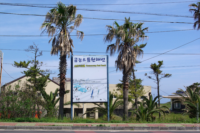 제주 금능 해변