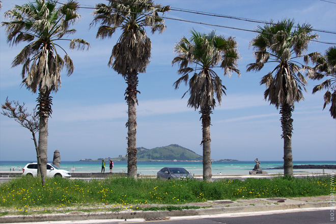 제주 금능 해변