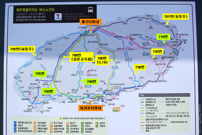 제주 시외 버스 노선