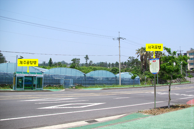 제주 공항 리무진 버스