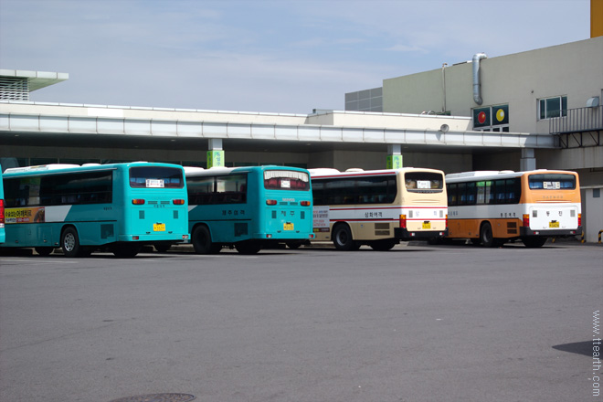 서귀포 시외 버스 터미널