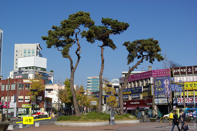 전주 영화의 거리, 전주 시청