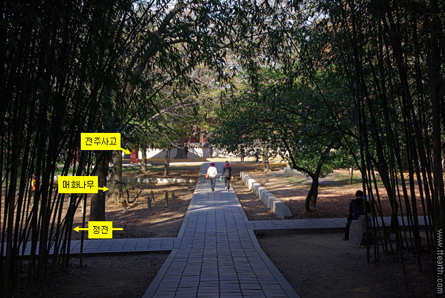 경기전, 전주 사고, 매화나무