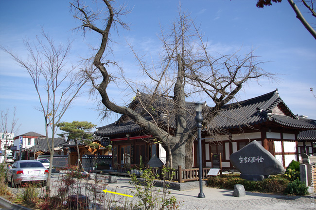 전주 한옥 마을, 은행로, 루갈다원