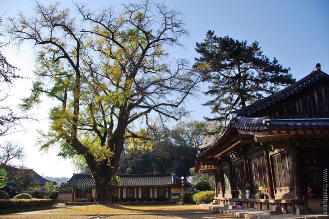 전주 향교, 명륜당, 전주 한옥 마을