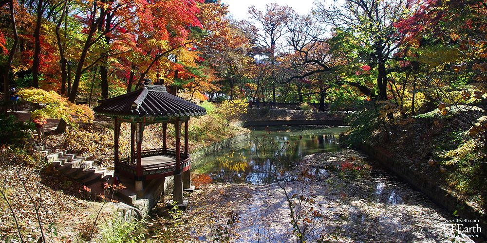서울 창덕궁 후원, 비원