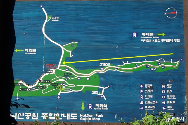 서울 성곽 11길 회나무